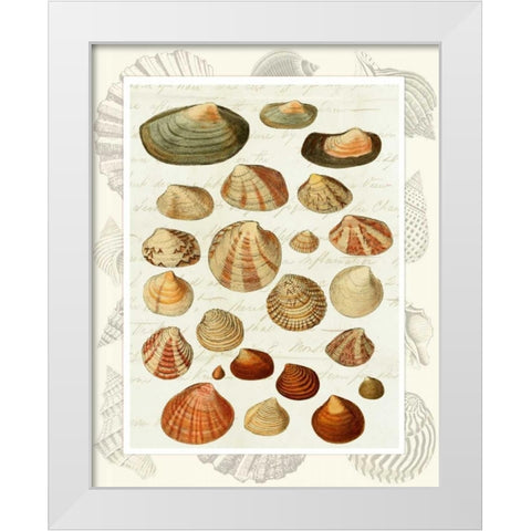 Shells on Vintage Script White Modern Wood Framed Art Print by Fab Funky