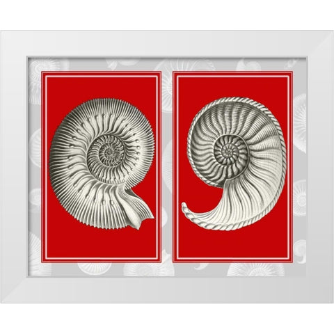 Nautilus Shells On Red White Modern Wood Framed Art Print by Fab Funky