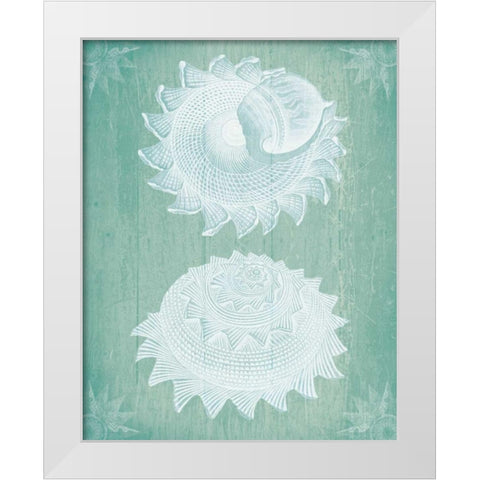 Shells White on Turquoise White Modern Wood Framed Art Print by Fab Funky