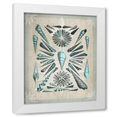 Shell Collection 5 White Modern Wood Framed Art Print by Fab Funky