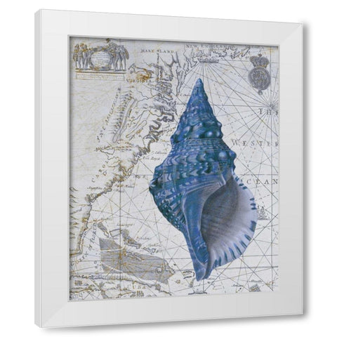 Seashell Collection 1 a White Modern Wood Framed Art Print by Fab Funky