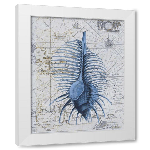 Seashell Collection 1 b White Modern Wood Framed Art Print by Fab Funky