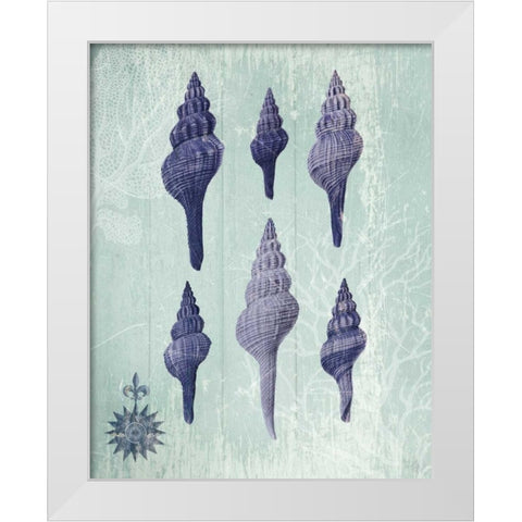 Seashell Collection 2 c White Modern Wood Framed Art Print by Fab Funky