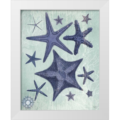 Seashell Collection 2 d White Modern Wood Framed Art Print by Fab Funky