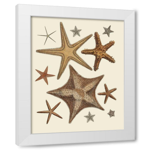 Starfish Collection 1 White Modern Wood Framed Art Print by Fab Funky