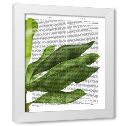 Banana Leaves 1, Green on White White Modern Wood Framed Art Print by Fab Funky
