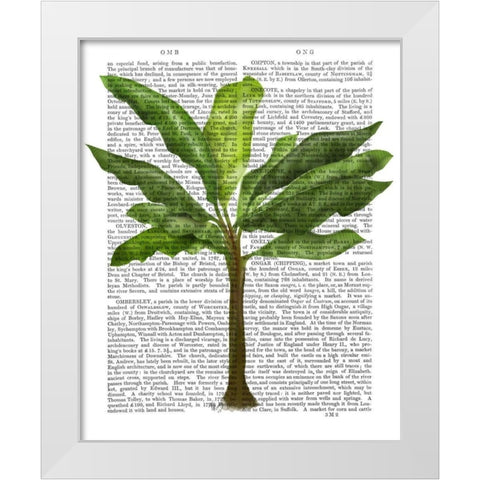 Banana Tree 1 White Modern Wood Framed Art Print by Fab Funky