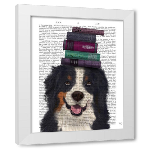 Bernese and Books White Modern Wood Framed Art Print by Fab Funky