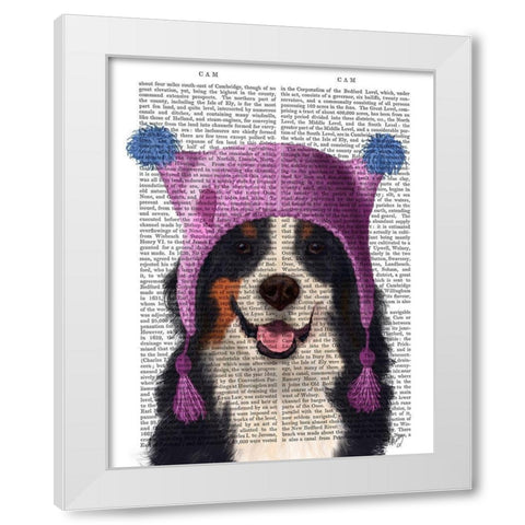 Bernese And Bobble Hat White Modern Wood Framed Art Print by Fab Funky