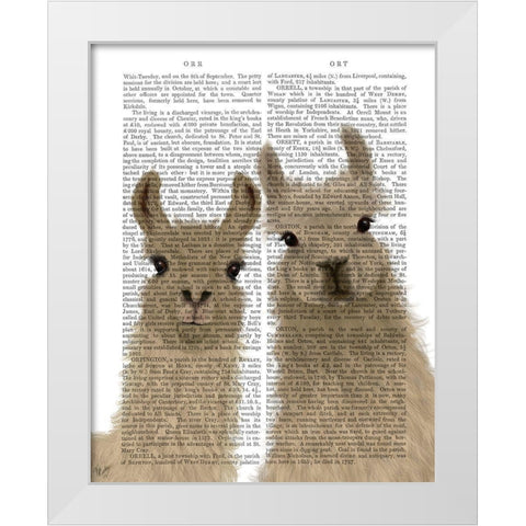 Llama Duo, Looking at You Book Print White Modern Wood Framed Art Print by Fab Funky
