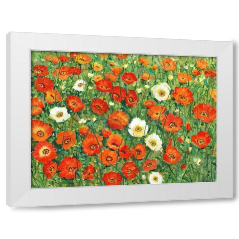Poppy Meadow II White Modern Wood Framed Art Print by OToole, Tim