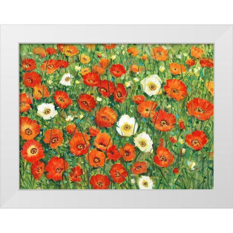 Poppy Meadow II White Modern Wood Framed Art Print by OToole, Tim
