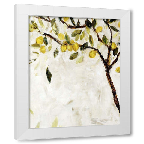 Meyer Lemon Tree White Modern Wood Framed Art Print by Maas, Jodi