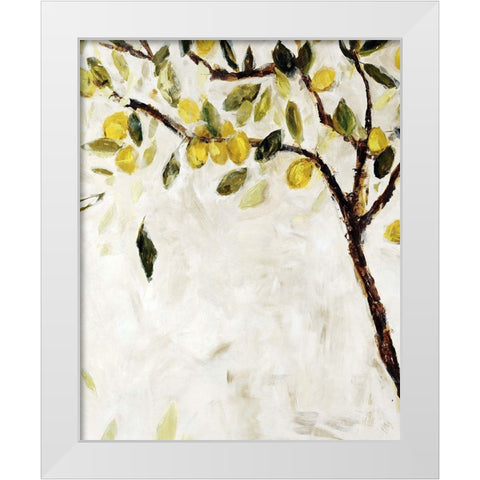 Meyer Lemon Tree White Modern Wood Framed Art Print by Maas, Jodi