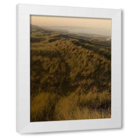 Golden Fog II White Modern Wood Framed Art Print by Green, Jacob