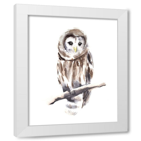 Barred Owl Impressions I White Modern Wood Framed Art Print by Warren, Annie