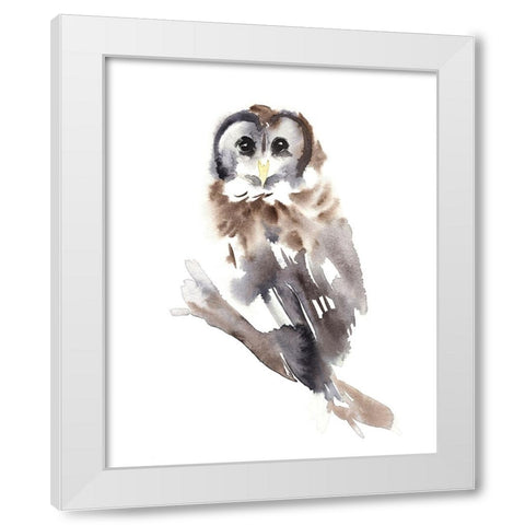 Barred Owl Impressions II White Modern Wood Framed Art Print by Warren, Annie