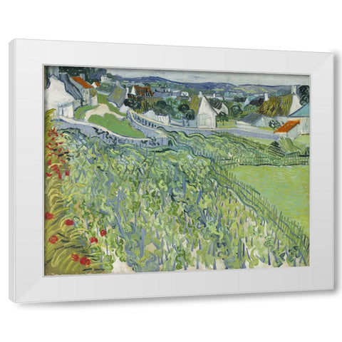 Vineyards at Auvers White Modern Wood Framed Art Print by Van Gogh, Vincent