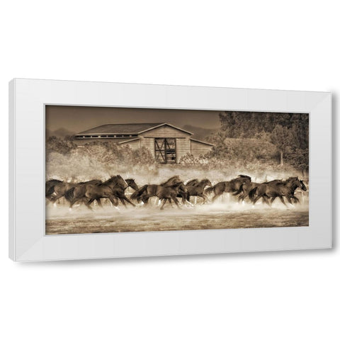 A Dozen Quarters White Modern Wood Framed Art Print by Drost, David