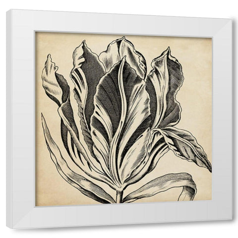 Graphic Floral I White Modern Wood Framed Art Print by Vision Studio