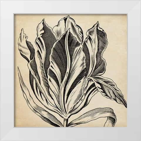 Graphic Floral I White Modern Wood Framed Art Print by Vision Studio