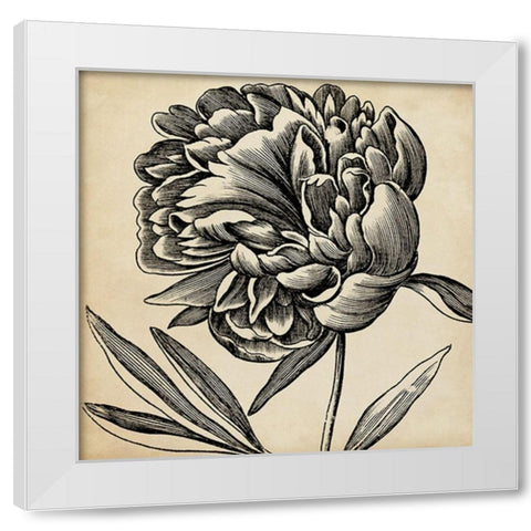 Graphic Floral II White Modern Wood Framed Art Print by Vision Studio