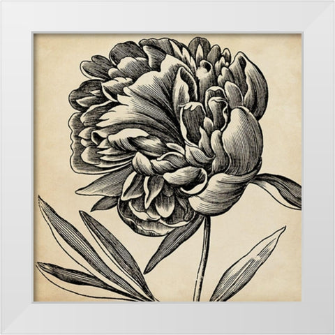 Graphic Floral II White Modern Wood Framed Art Print by Vision Studio