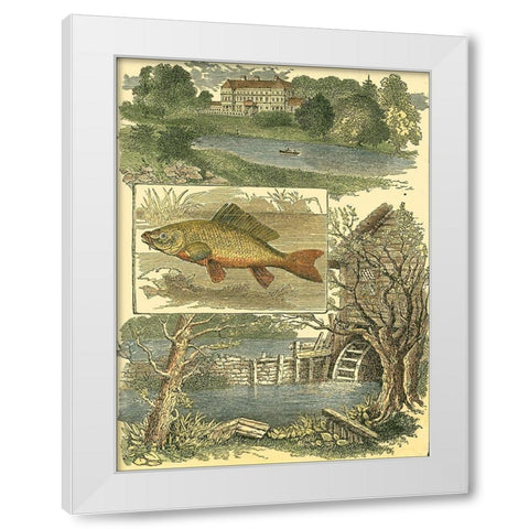 Fishermans Vignette I White Modern Wood Framed Art Print by Vision Studio