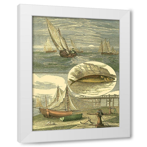 Fishermans Vignette III White Modern Wood Framed Art Print by Vision Studio