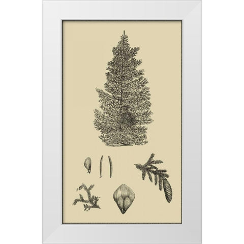 Arbor Study I White Modern Wood Framed Art Print by Vision Studio