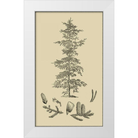 Arbor Study II White Modern Wood Framed Art Print by Vision Studio