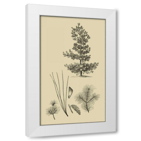 Arbor Study III White Modern Wood Framed Art Print by Vision Studio