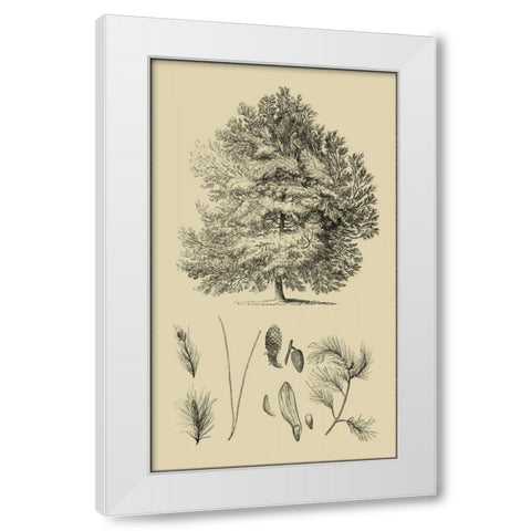 Arbor Study IV White Modern Wood Framed Art Print by Vision Studio