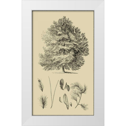Arbor Study IV White Modern Wood Framed Art Print by Vision Studio