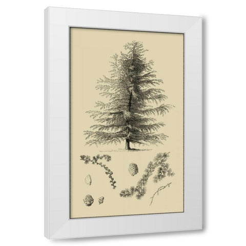 Arbor Study VI White Modern Wood Framed Art Print by Vision Studio