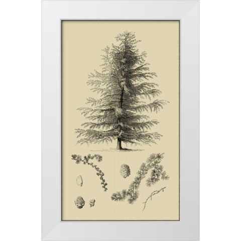 Arbor Study VI White Modern Wood Framed Art Print by Vision Studio