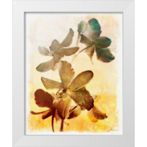 Brocade Garden III White Modern Wood Framed Art Print by Burghardt, James