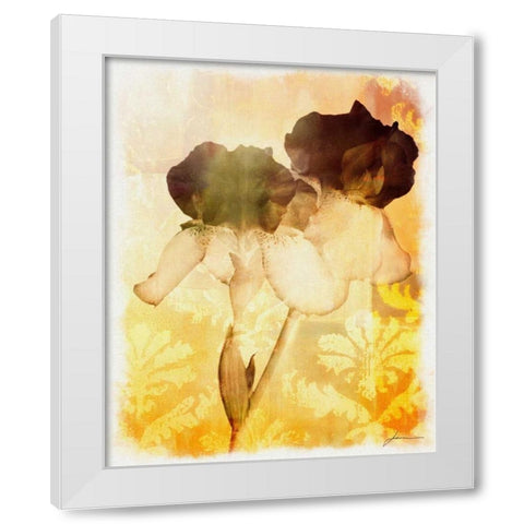 Brocade Garden IV White Modern Wood Framed Art Print by Burghardt, James