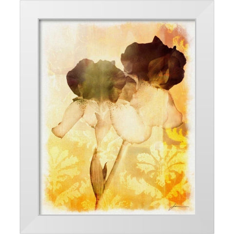 Brocade Garden IV White Modern Wood Framed Art Print by Burghardt, James