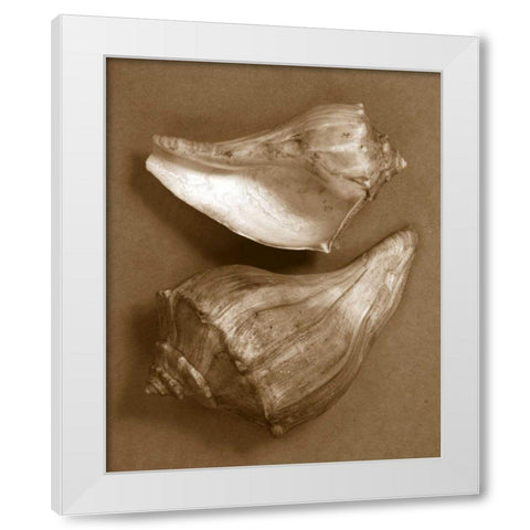 Sensual Shells I White Modern Wood Framed Art Print by Stramel, Renee W.