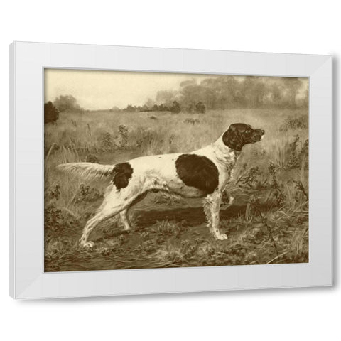 Rowdy Rod White Modern Wood Framed Art Print by Tracey, J.M.