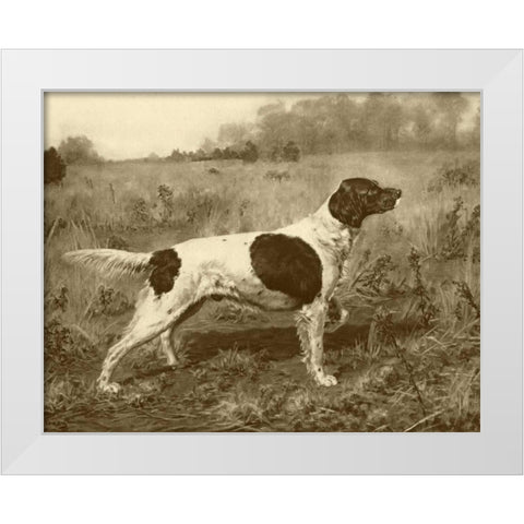 Rowdy Rod White Modern Wood Framed Art Print by Tracey, J.M.