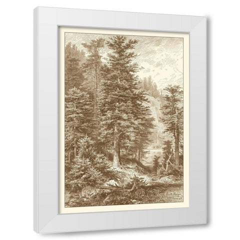 Sepia Noble Fir White Modern Wood Framed Art Print by Heyn, Ernst