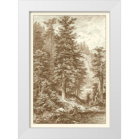 Sepia Noble Fir White Modern Wood Framed Art Print by Heyn, Ernst