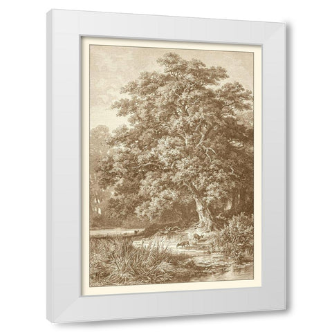 Sepia Oak Tree White Modern Wood Framed Art Print by Heyn, Ernst