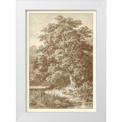 Sepia Oak Tree White Modern Wood Framed Art Print by Heyn, Ernst