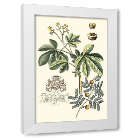 Imperial Foliage I White Modern Wood Framed Art Print by Vision Studio
