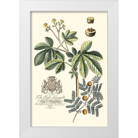 Imperial Foliage I White Modern Wood Framed Art Print by Vision Studio