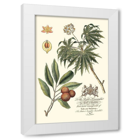 Imperial Foliage II White Modern Wood Framed Art Print by Vision Studio