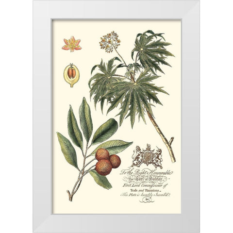 Imperial Foliage II White Modern Wood Framed Art Print by Vision Studio